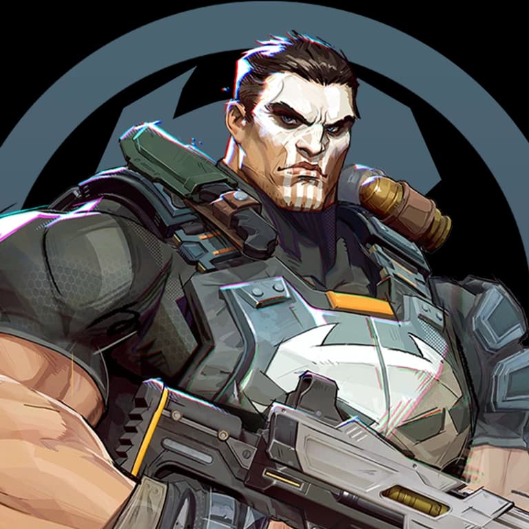 The Punisher portrait