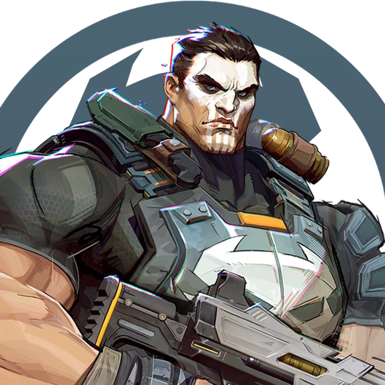 The Punisher portrait